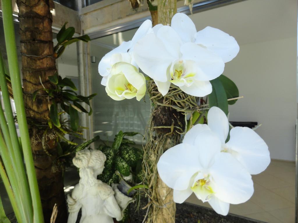Pousada Orquideas Guarujá Exteriör bild